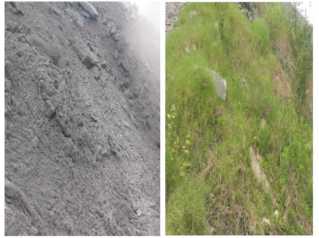 QQ截圖20210702163625.jpg QQ截圖20210702163625.jpg